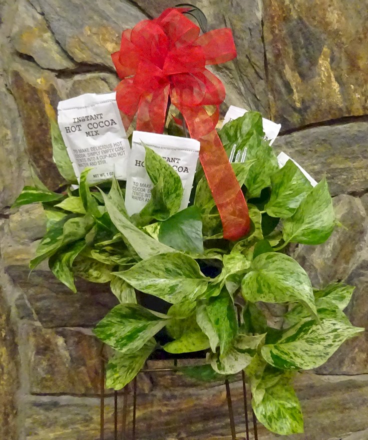 Flowers from Dale and Tami Morrison and Family