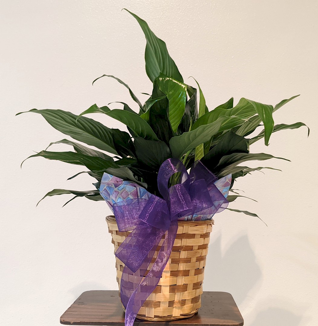 Flowers from Bob and Glenda Kramer