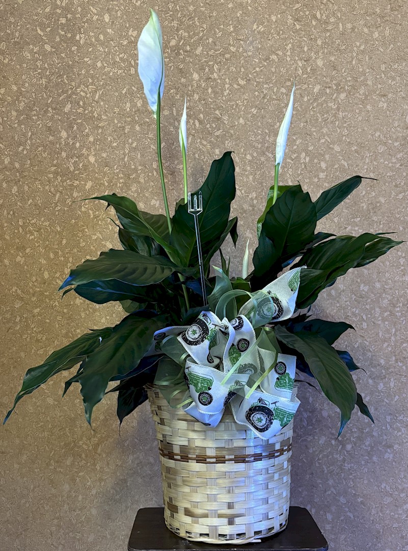 Flowers from Sheryl Heirigs; Matt Heirigs and Family; and Dan Heirigs