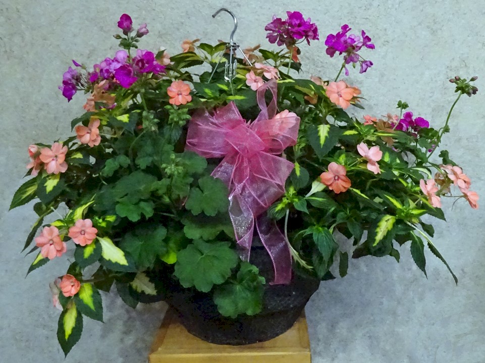 Flowers from Betty and Joe Barrie and Family