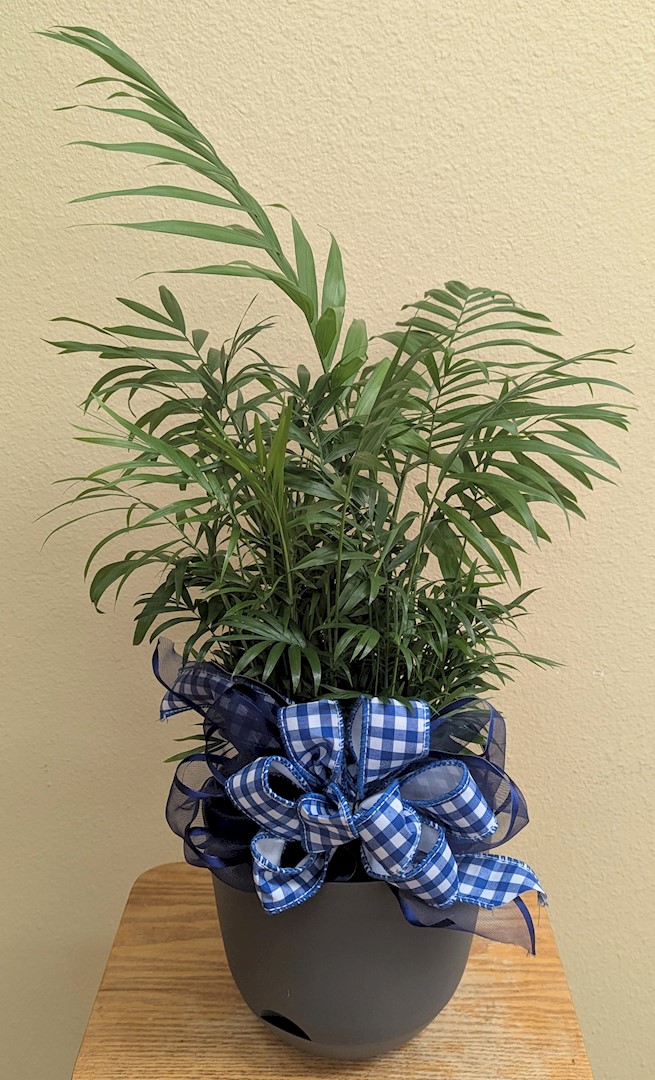 Flowers from Dakota Country Pharmacy