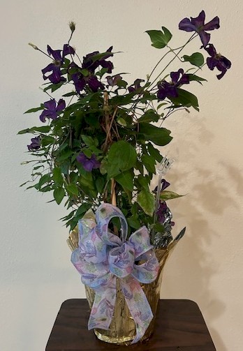 Flowers from Stan and Terri

