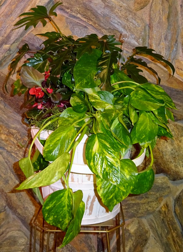 Flowers from Glen & Joyce, Glen David & Kerry, Cathy & Roger, Amy & Sean, Brian & Misti, and Families