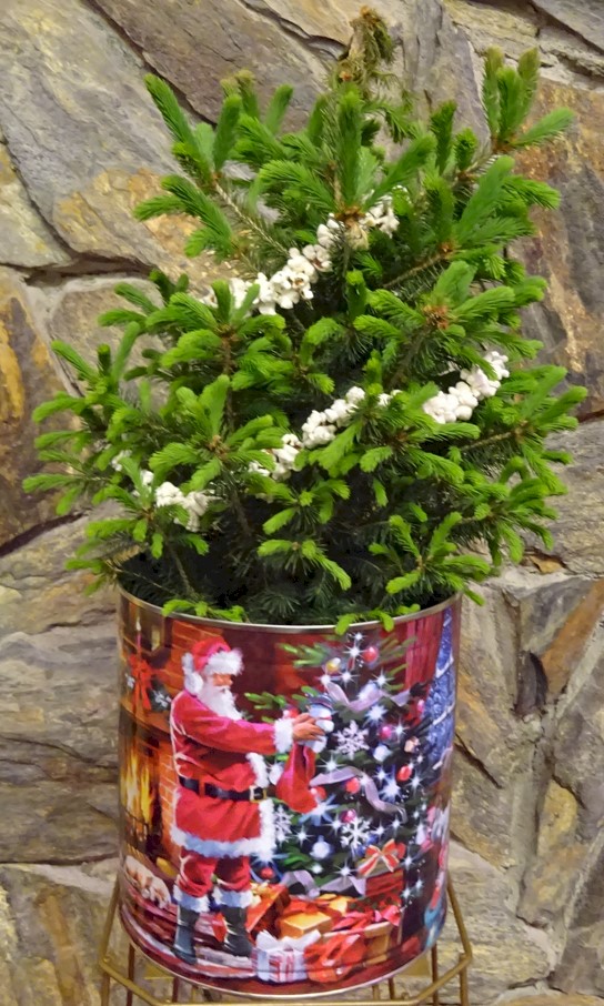 Flowers from Kathy and Greg Arthur