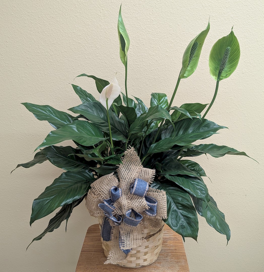 Flowers from Northwest Pipe Employees