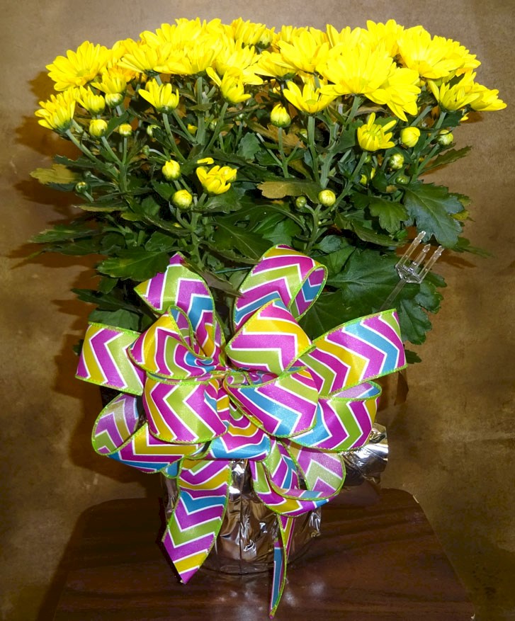 Flowers from Dan and Cindy Hauk