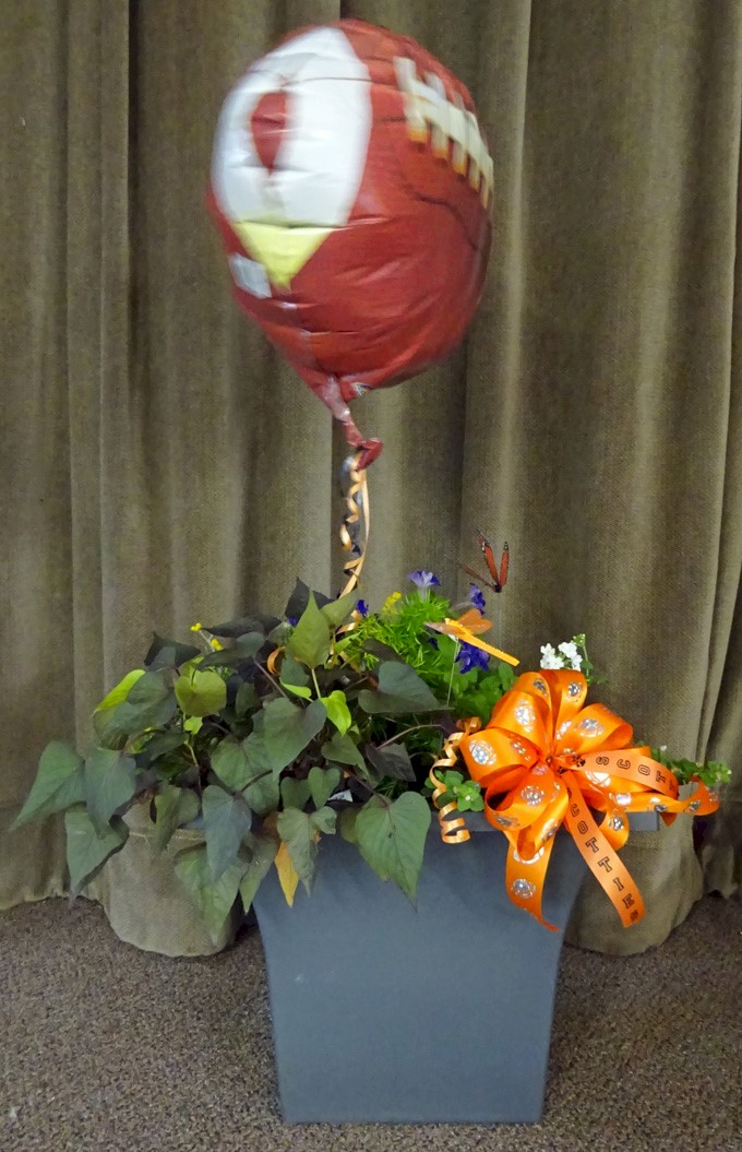 Flowers from Your FA Scheel's Family