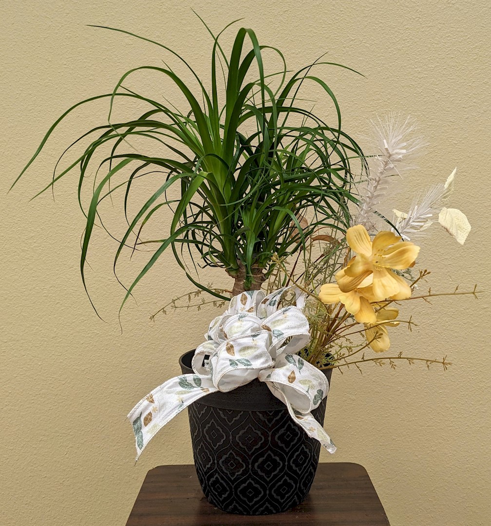 Flowers from Your Church Family at Evangelical Free Bible Church of Wall