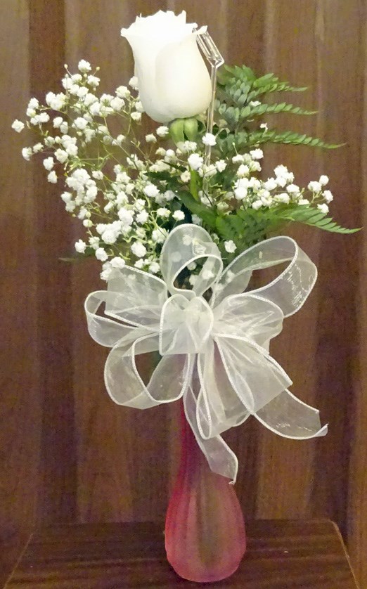 Flowers from Nola