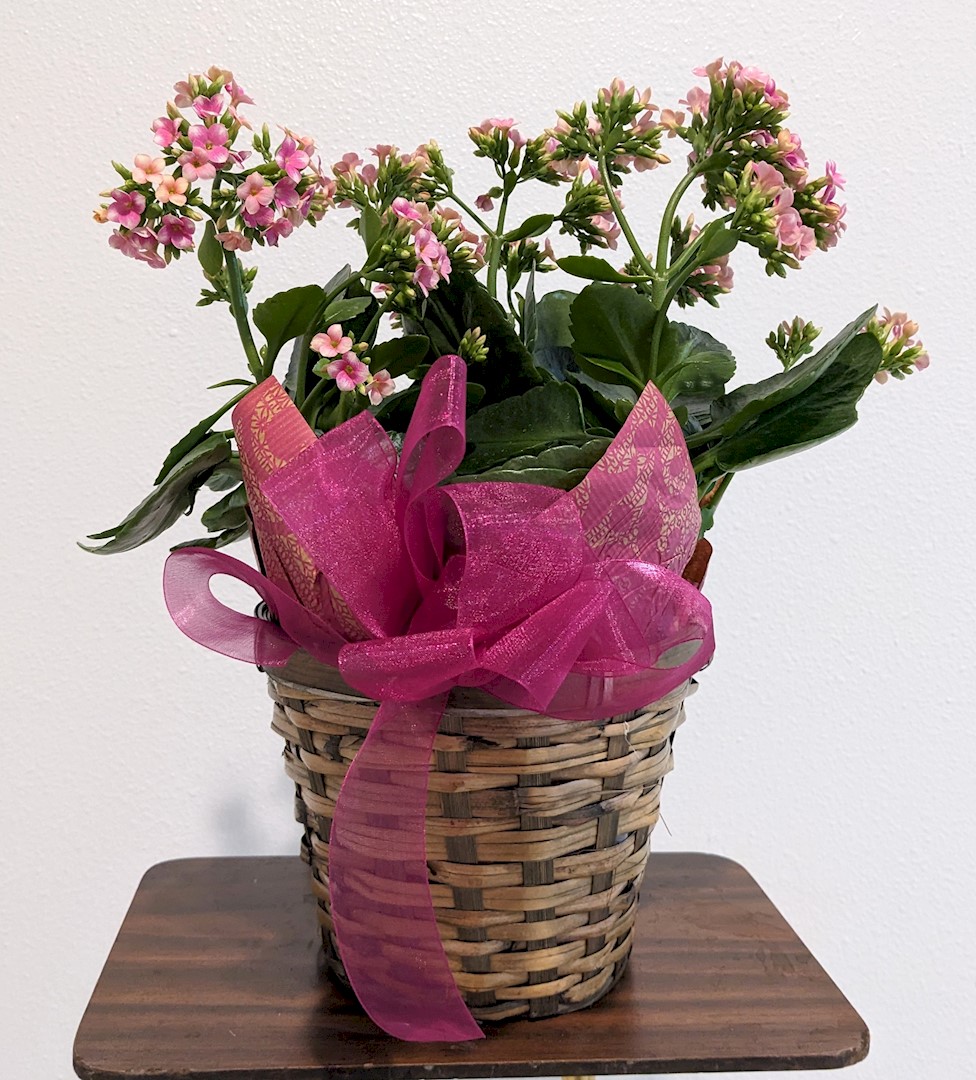 Flowers from Security 1st Bank Directors and Employees