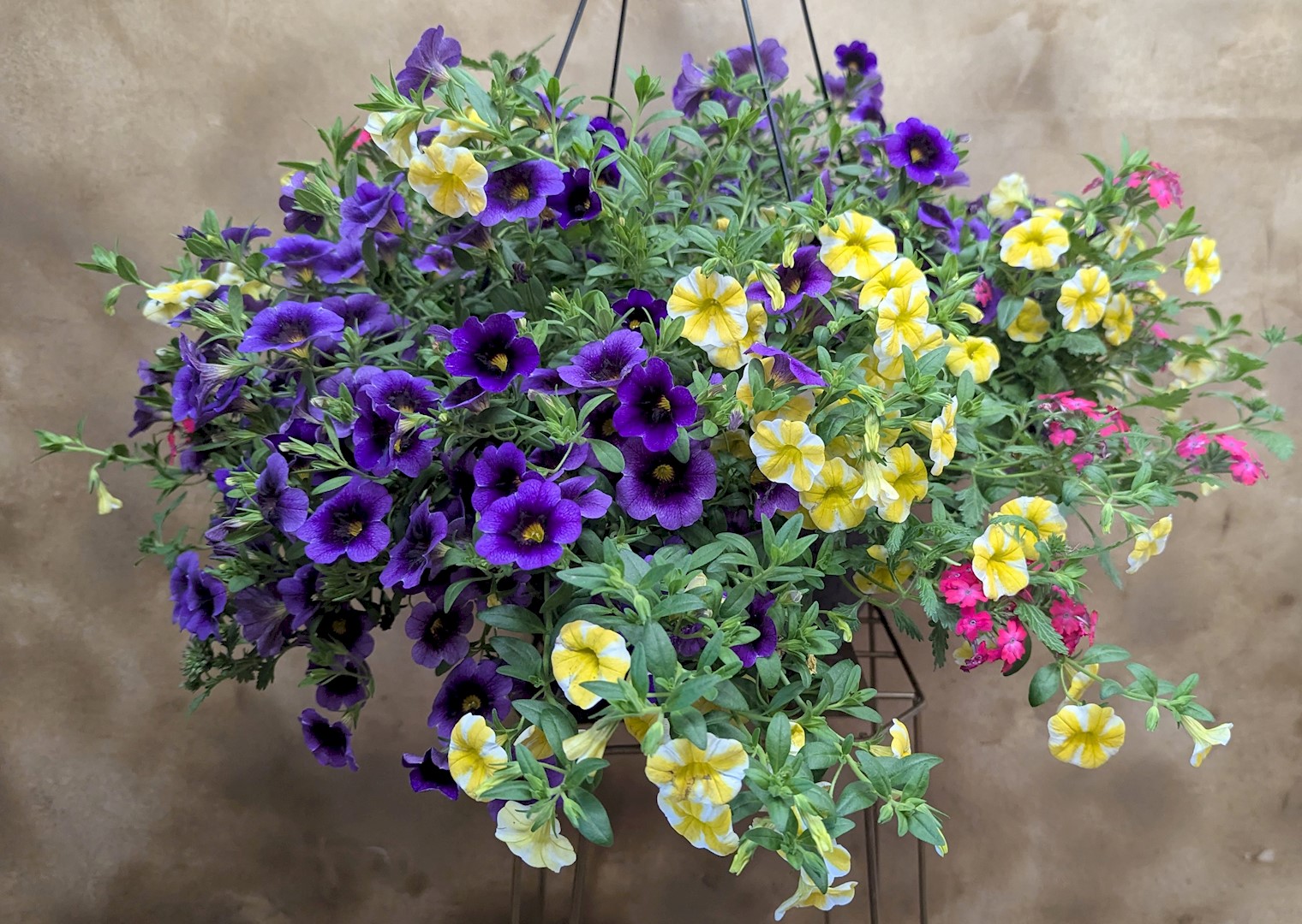 Flowers from Scotchman Living Center Team