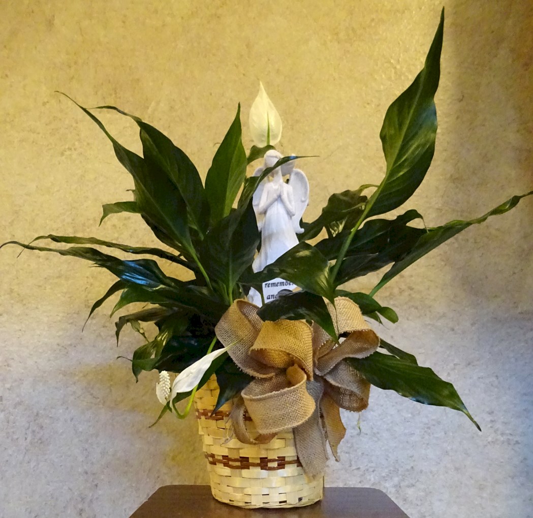 Flowers from Marilyn & Jacy, Jeremy, Jill, Justin, Amy & Families & Grandsons