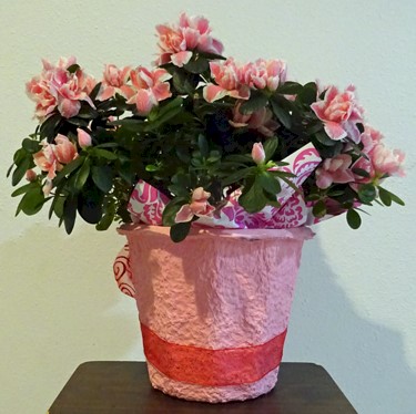 Flowers from Bob and Hazel Harrison and Families