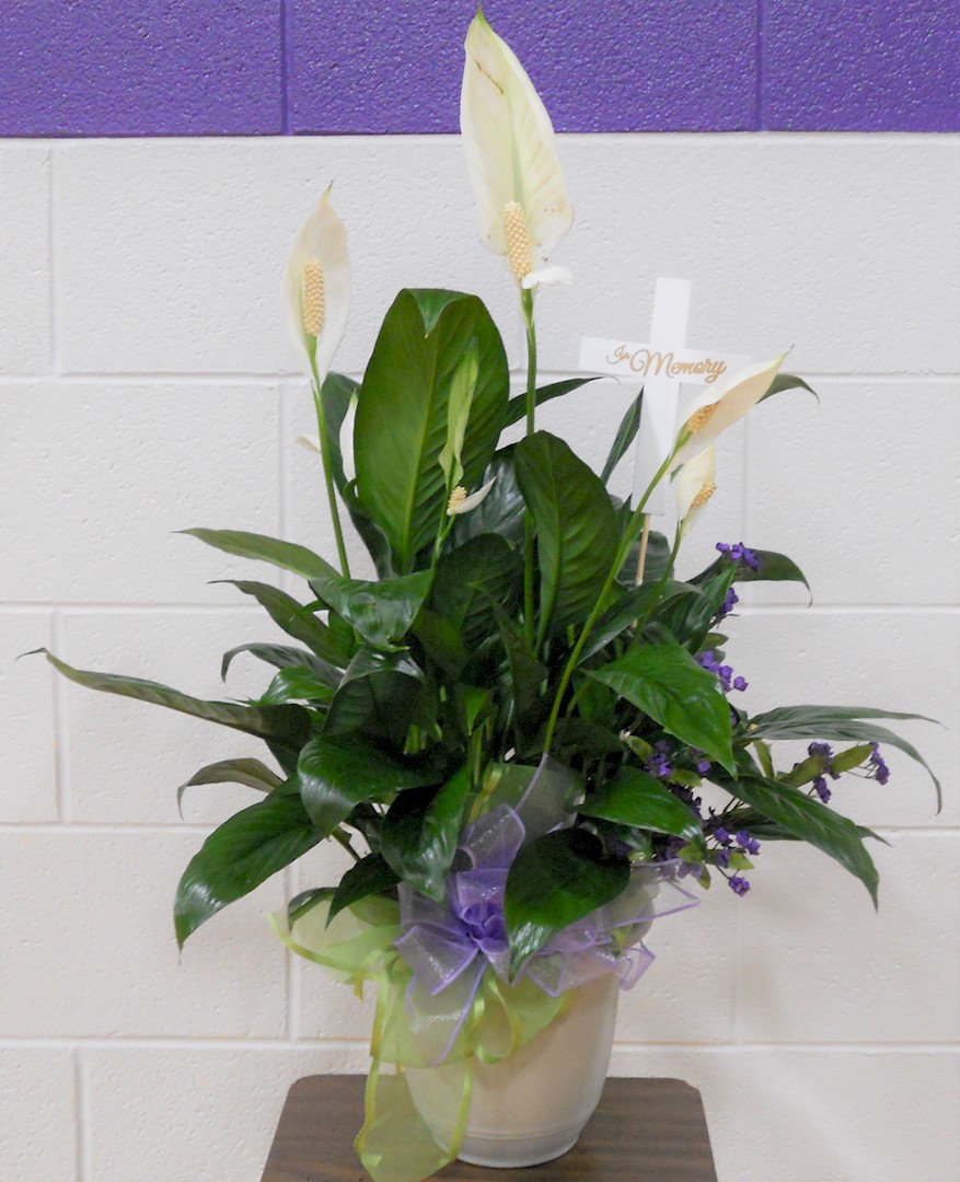 Flowers from Kadoka Youth Wrestling