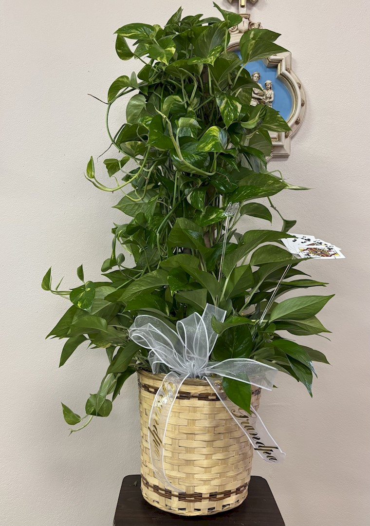 Flowers from Family - "Grandpa" "Great-Grandpa" - the Hicks, the Hamars, and the Frinks