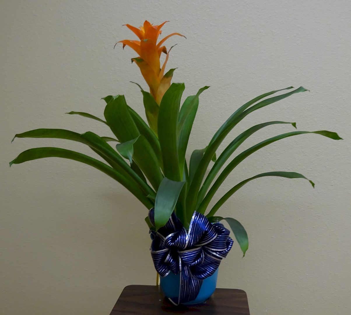 Flowers from Family