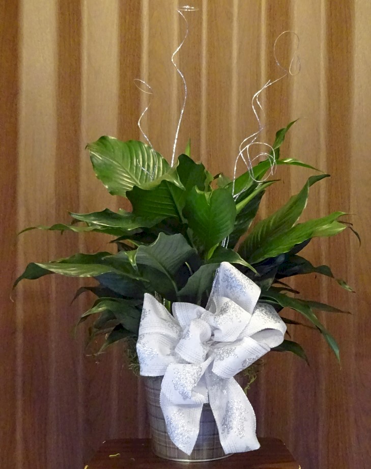 Flowers from Philip Health Services TLC and Board of Directors