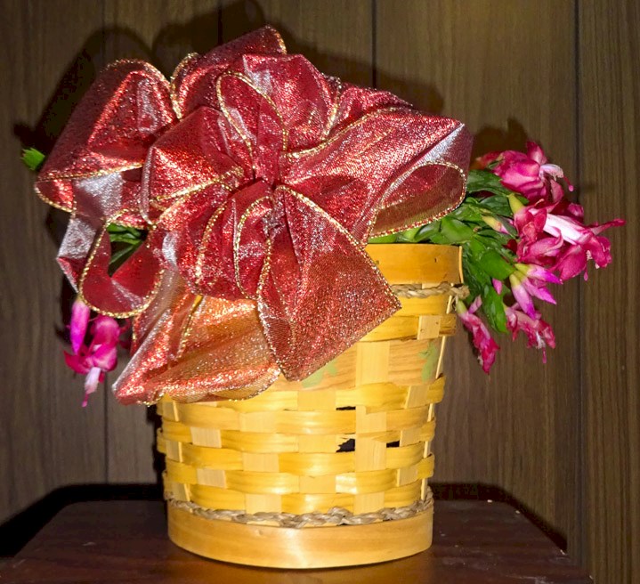 Flowers from Dakota Country Pharmacy