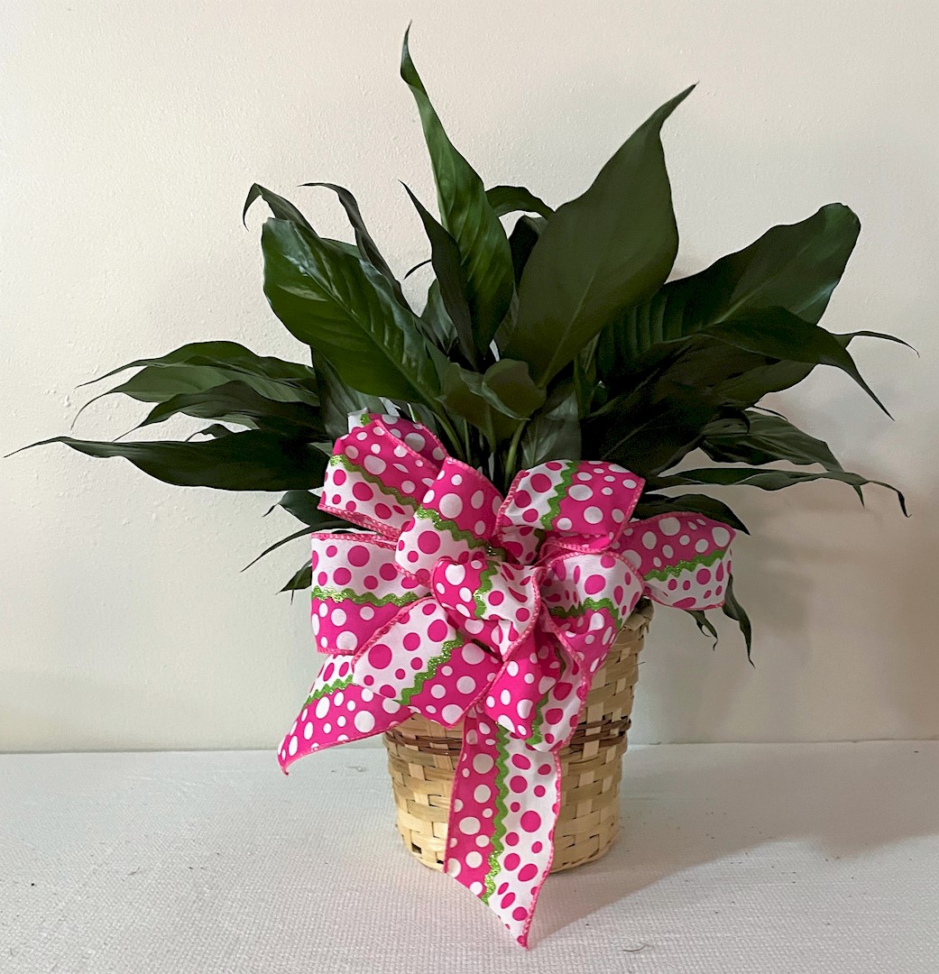 Flowers from Joan Scramuzza