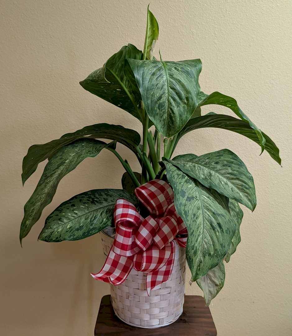 Flowers from Jones County Ambulance Services