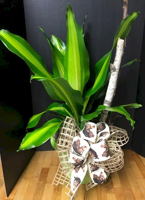 Flowers from Silverleaf, PHS employees, and Board of Directors