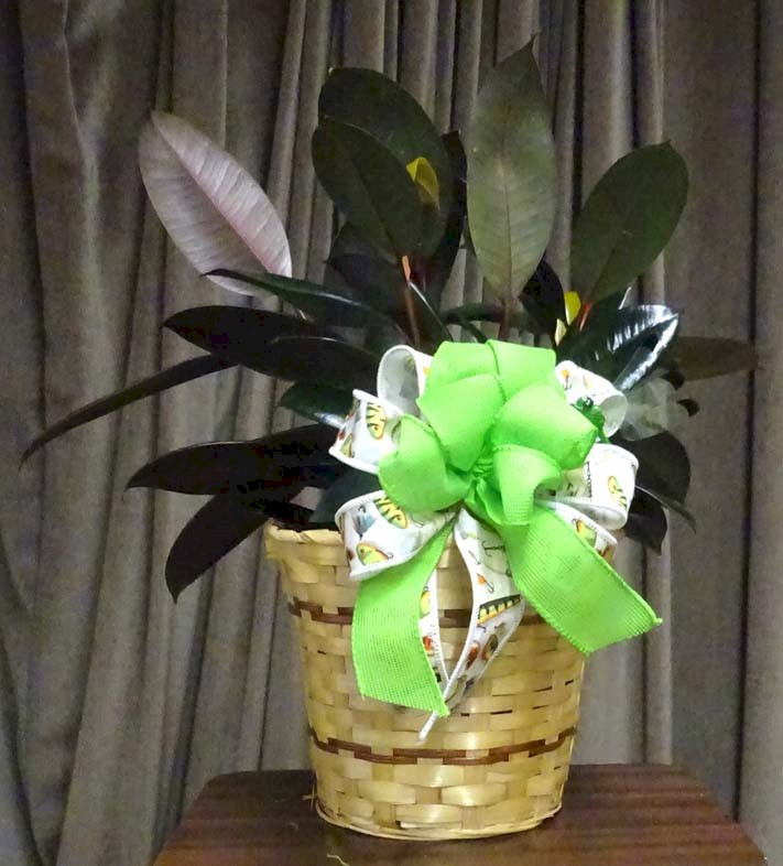 Flowers from The Staff at Minute Man Missile NHS