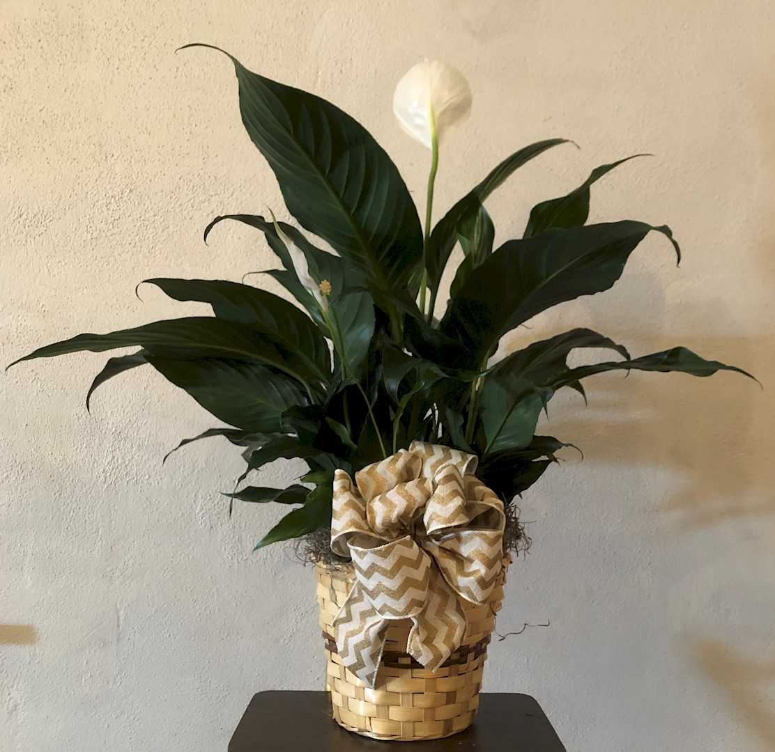 Flowers from Your Labor and Delivery Family