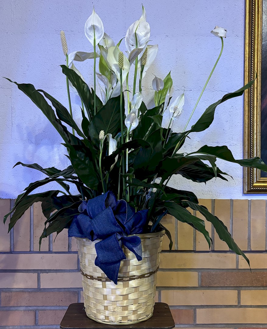 Flowers from Nemec Construction - Randy, Holly, and Family