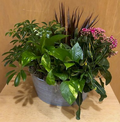 Flowers from The Jibben, Hanssen, Becker, and Munson Families