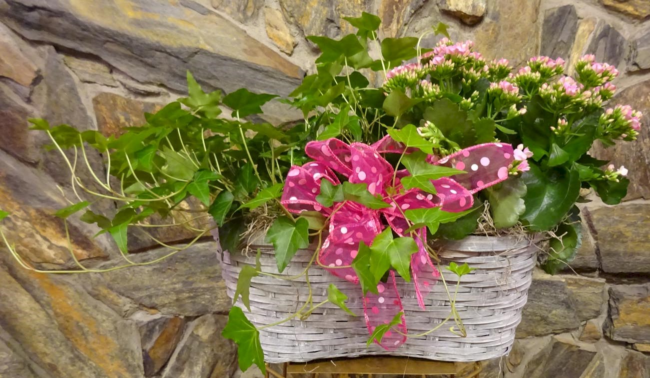 Flowers from One Fine Day - Lois Porch