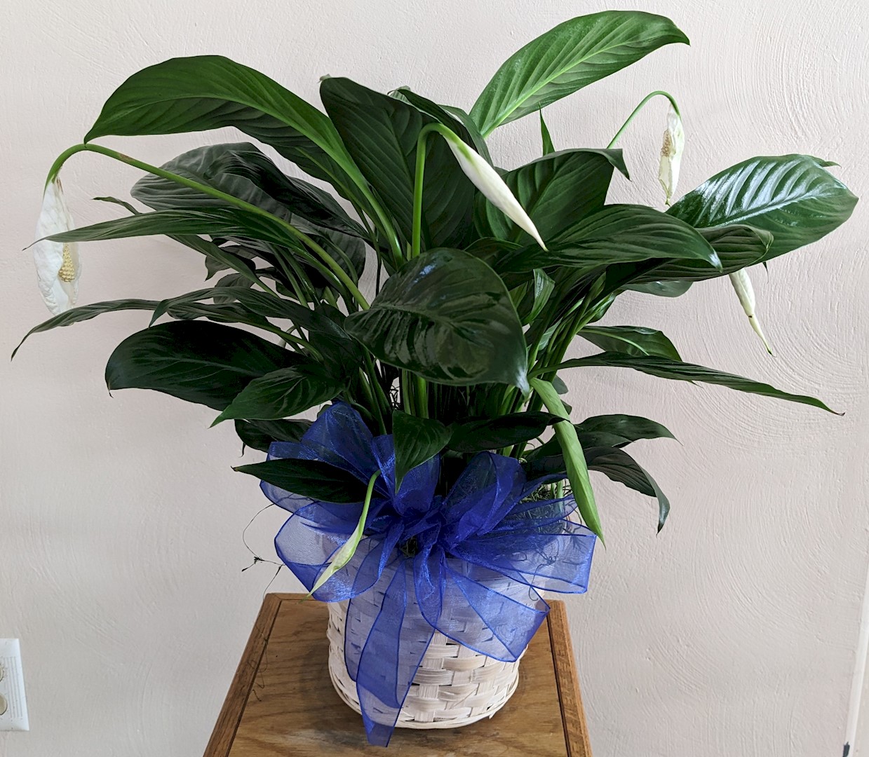 Flowers from The Camberos Family