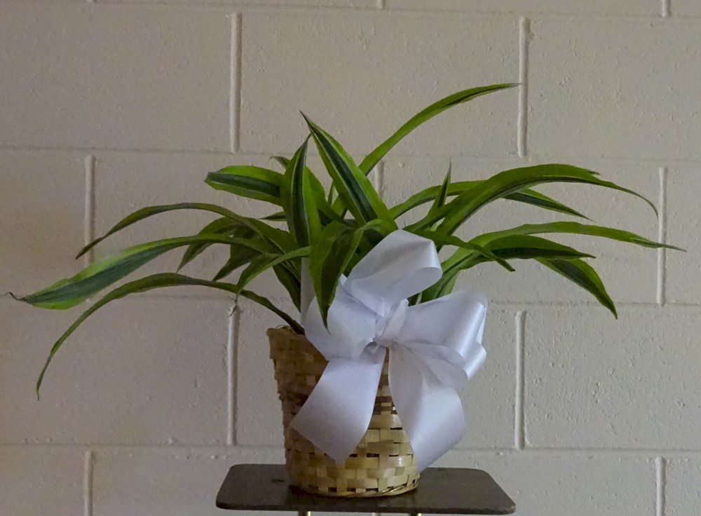 Flowers from Kadoka Nursing Home Staff and Residents