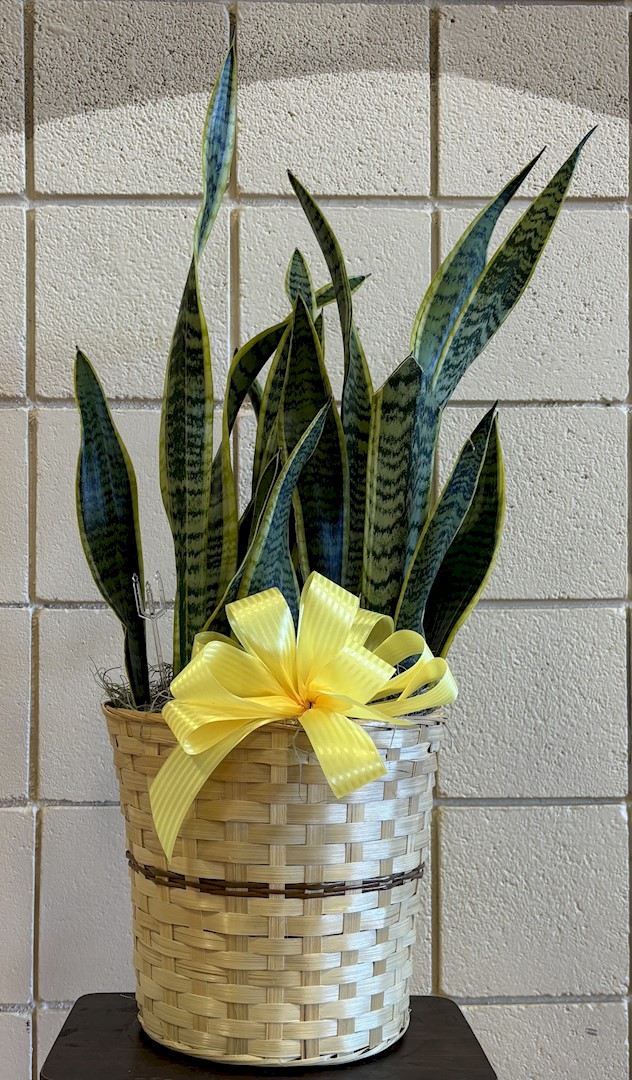 Flowers from FRHS Leadership Team