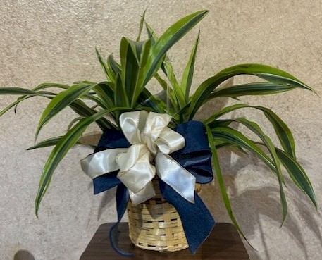 Flowers from Brandy, Rileigh, and Keelie