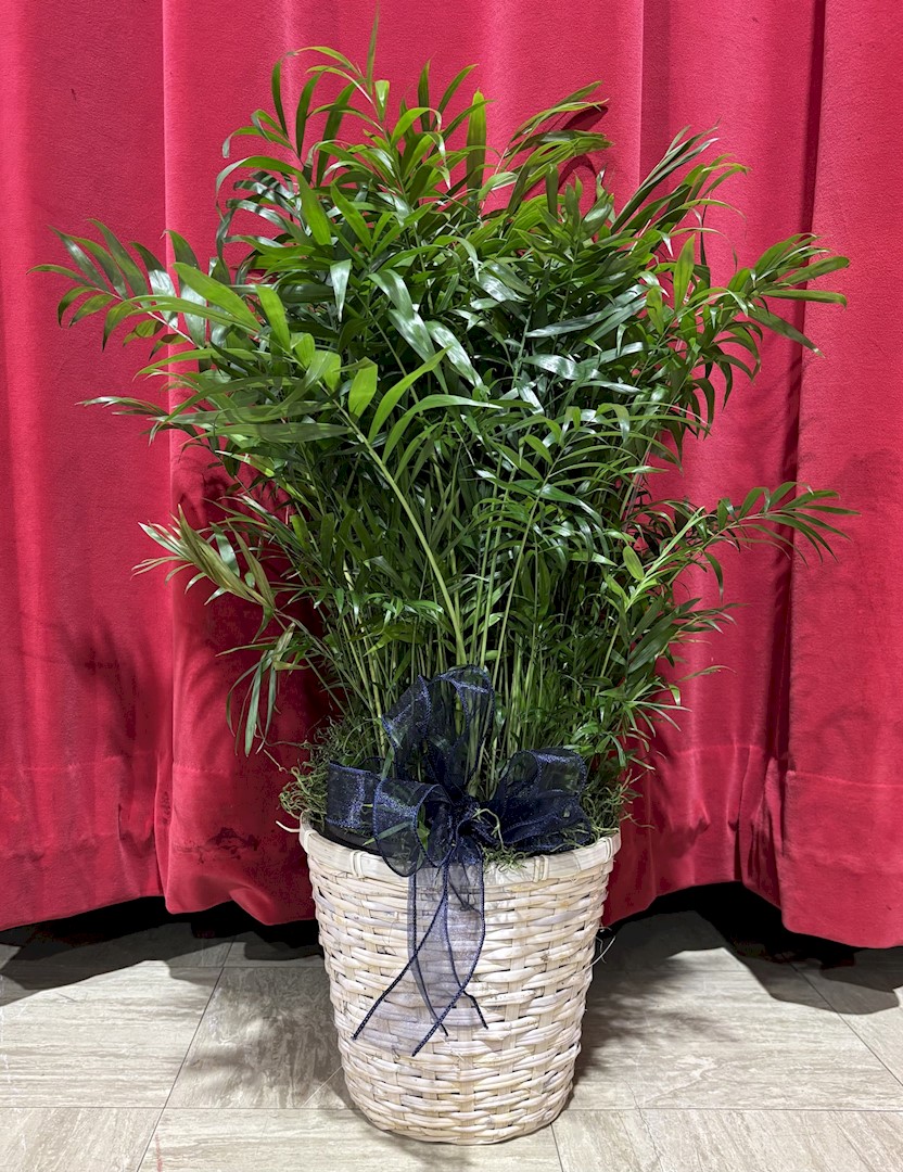 Flowers from Joe and Mary Ellen Schofield Families