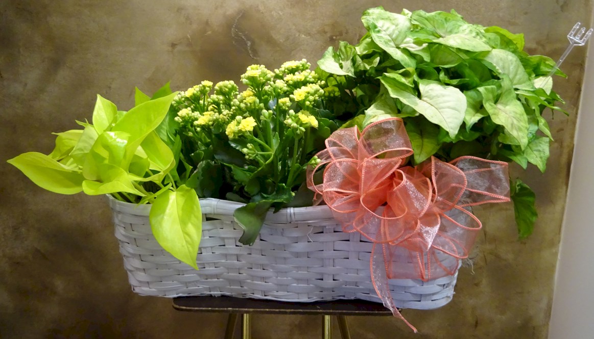 Flowers from Home Slice Media Group
