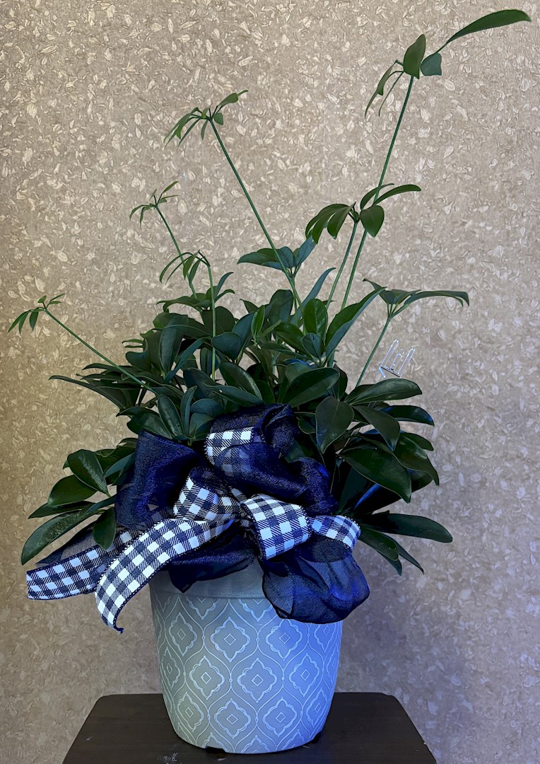 Flowers from All of us at the Wall School