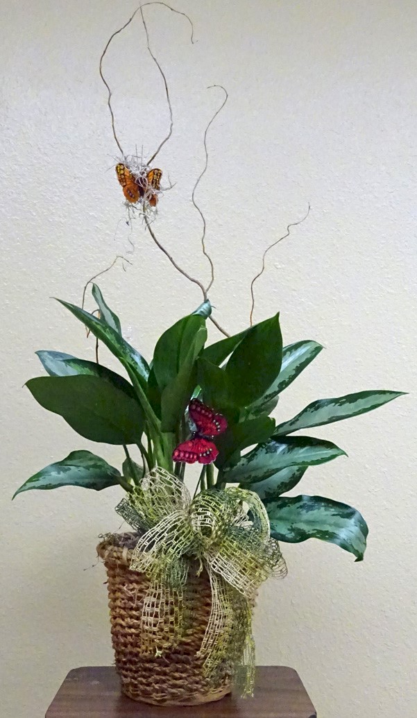 Flowers from Katie, Mark, Emma, and Eryn O'Loughlen