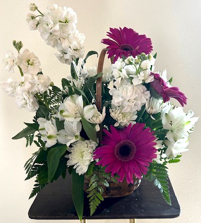 Flowers from Ross and Weston Poste Families