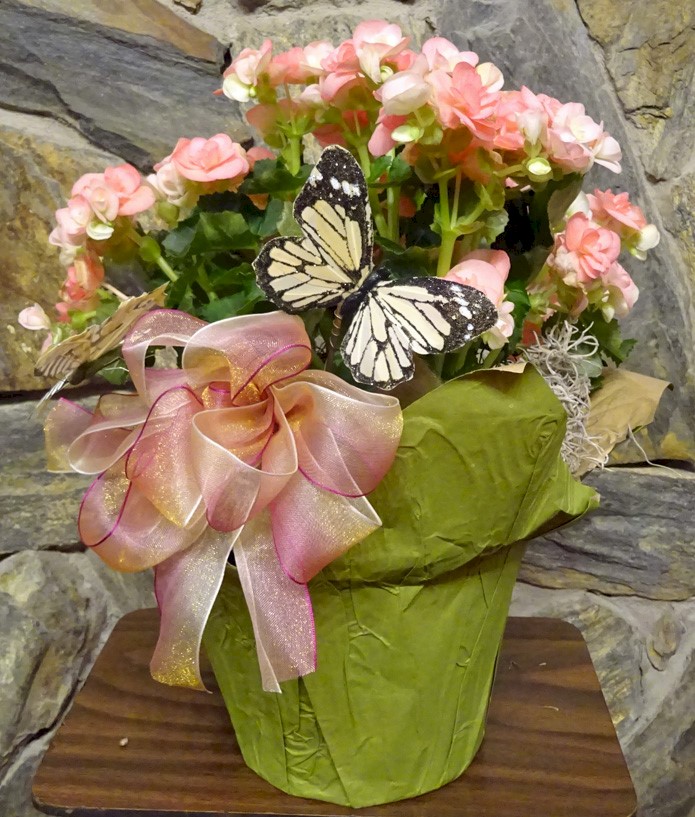 Flowers from Dakota Country Pharmacy