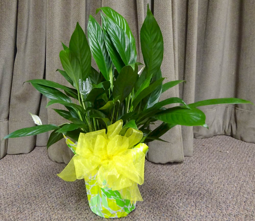 Flowers from Your Quilting Friends