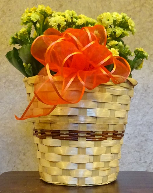Flowers from Mary and Frank