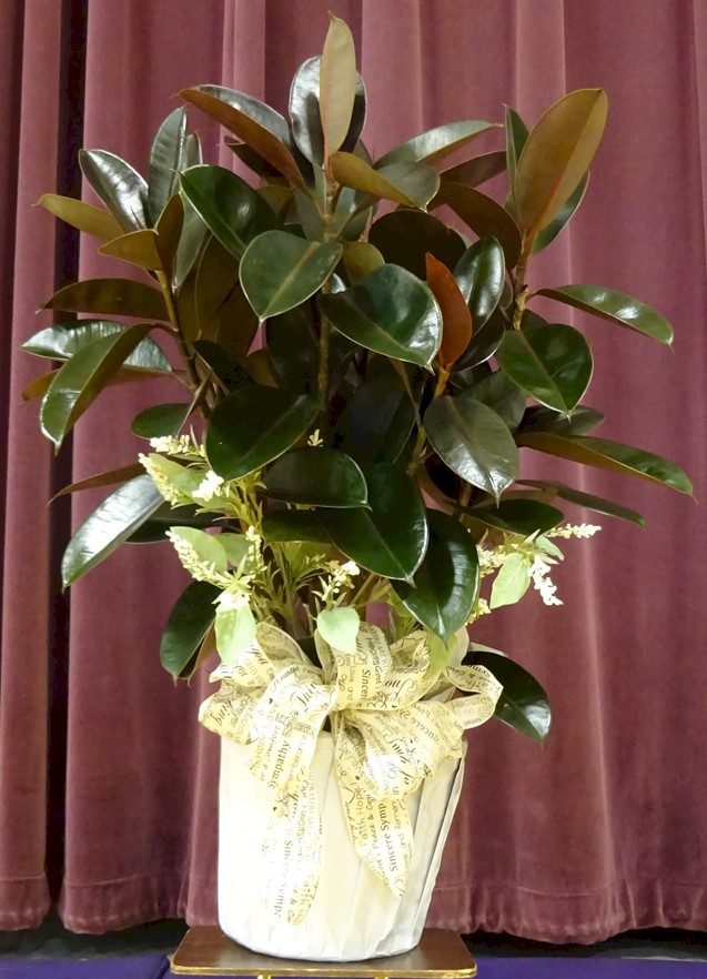 Flowers from Your Northwestern Mutual Family