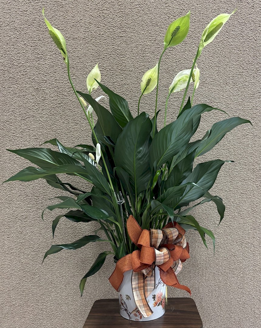 Flowers from Vanessa and Sandra LeCocq