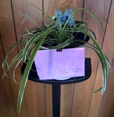 Flowers from The Mike Fuoss Family