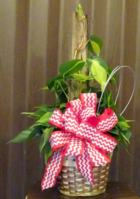 Flowers from Kent and Stevie Kjerstad and Family