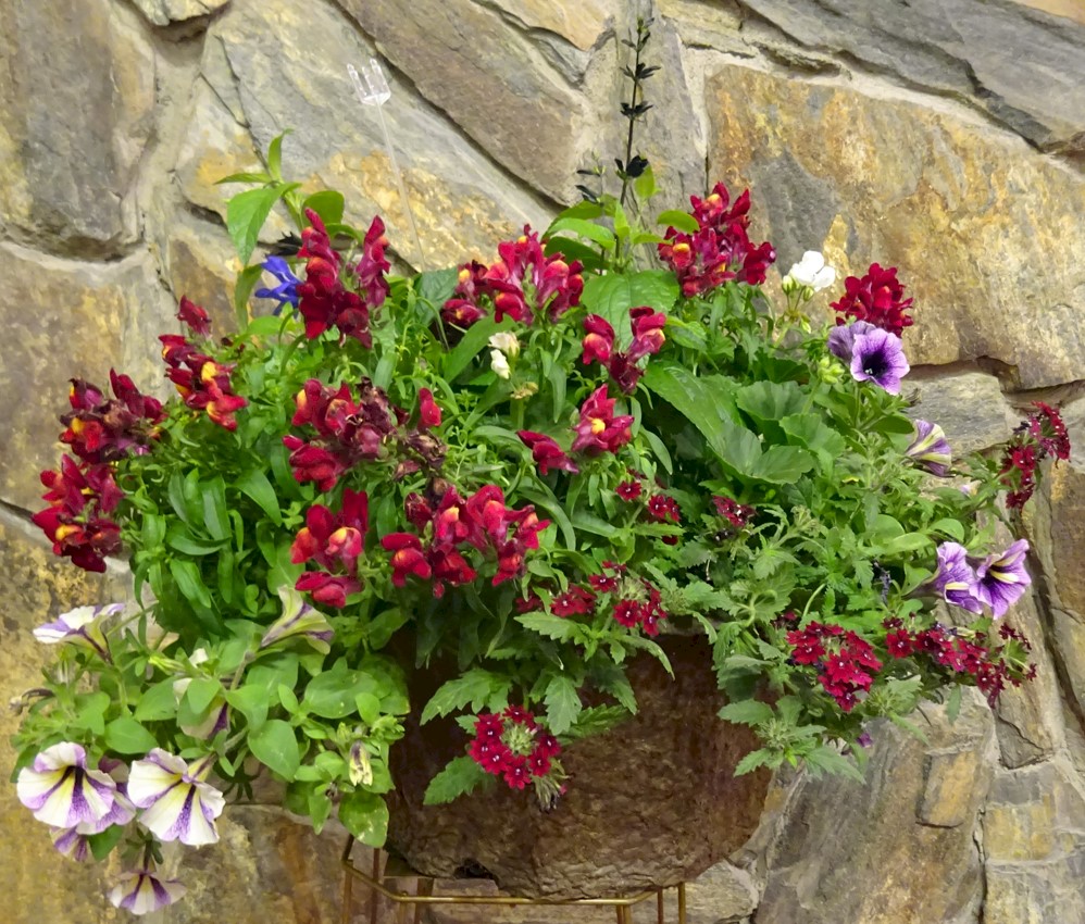 Flowers from Families of Bud and Helen Schofield