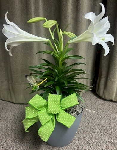 Flowers from Your Friends at Time Management Systems