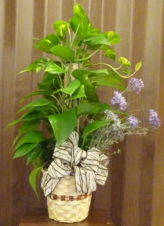 Flowers from Bill Lyle