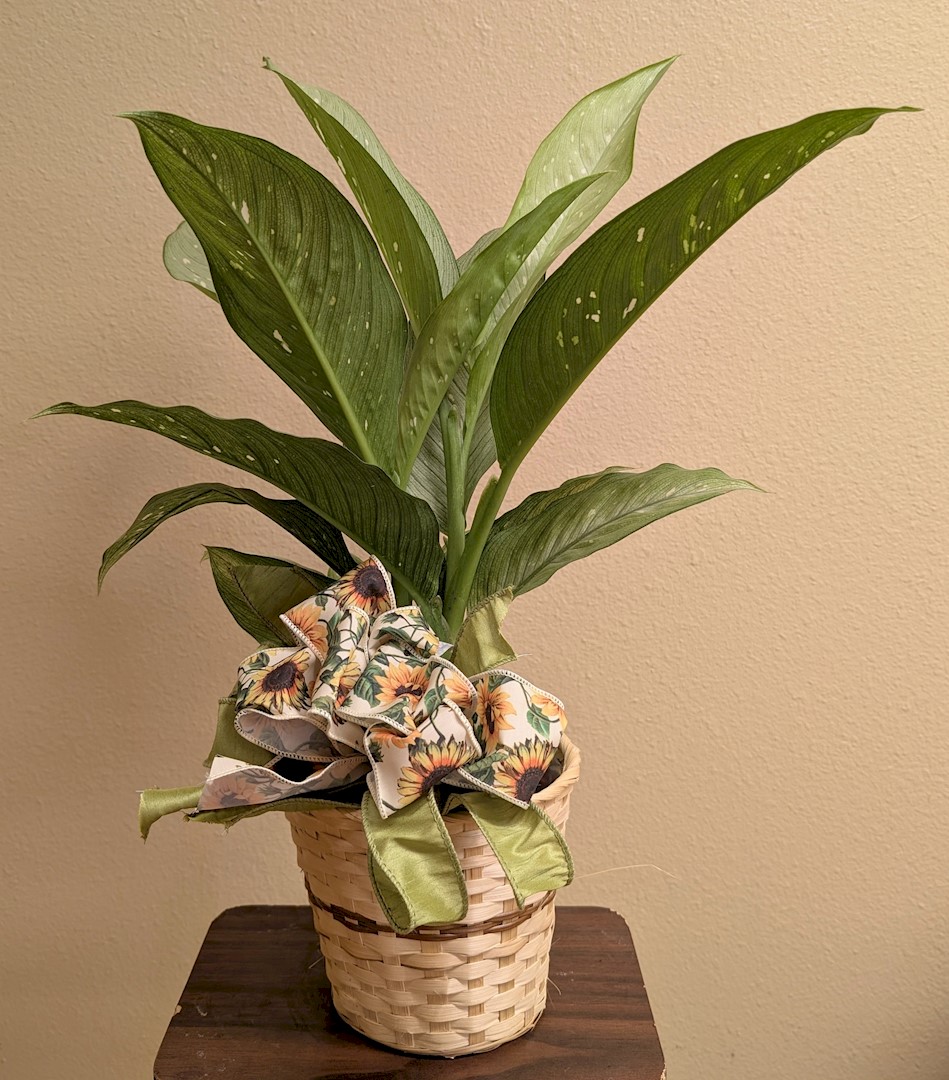 Flowers from Merrick Medical Center - Central City, Nebraska